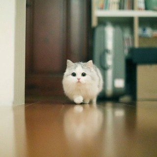 Логотип @howaboutmoscow - в москве лучше