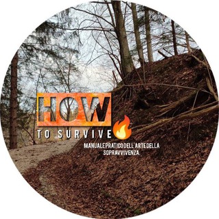 Логотип @howtosurvive33 - HowToSurvive