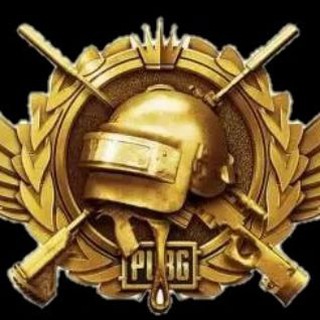 Логотип @hoxxystore - Vince Store