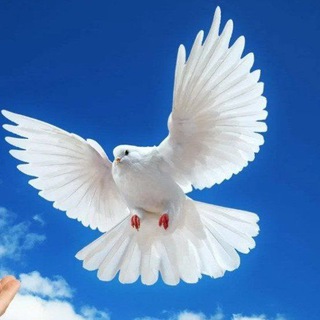 Логотип @hpshvxvrtc0zogiy - 🕊 СУХИЕ БОРЩИ, СУПЫ И КАШИ🇷🇺 - сухпай из дома♥готовим с любовью