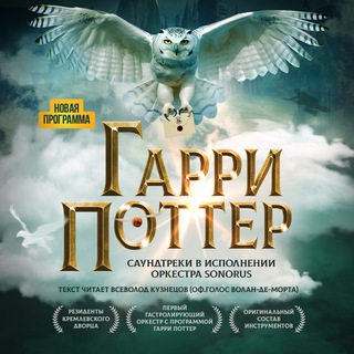 Логотип @hpsonorus - Гарри Поттер. Оркестр Sonorus