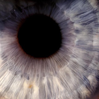 Логотип @hqnerv - гиперфиксация