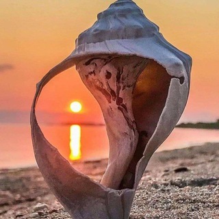 Логотип @hrammdushi - 🕊️ ХРАМ ДУШИ 🕊️