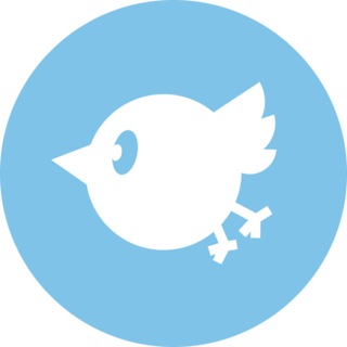 Логотип @hsespbcouncil - Студсовет Питерской Вышки