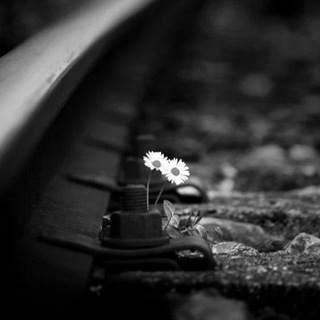 Логотип @hssvaaa - Поэзия жизни