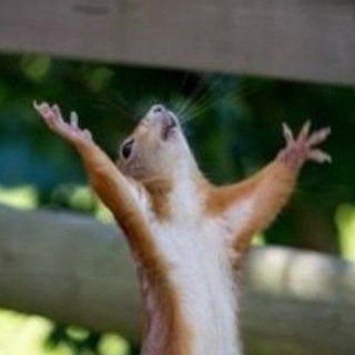 Логотип @httpskar128 - Красивые картинки