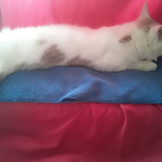 Логотип @httpstmejoinchatljpfyfrxfz - ⛄❄ZimоV"e❄☃️