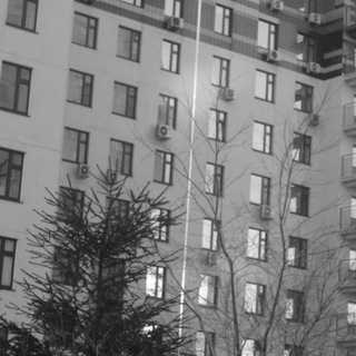 Логотип @hubabuba_photo - Группа любительских фотографий