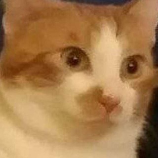 Логотип @hubmeme - Вестник Мемов 🌈