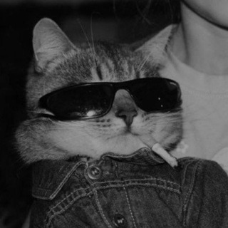 Логотип @hubminimal - ᴛᴇᴄʜɴᴏ👽HUB🐍🍑🔞 ᴇʟᴇᴄᴛʀᴏɴɪᴄᴀ⚡ᴘʀᴏɢʀᴇssɪᴠᴇ ᴍᴜsɪᴄ›🛸 girls 🐍