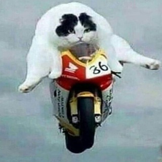 Логотип @huesoskitty227 - Хуесосный чат 2