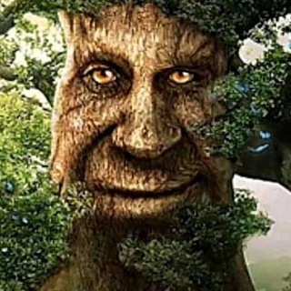 Логотип @huibobranahuy - Чат бобров