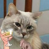 Логотип @huinarilo - куда вы это суёте?