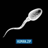 Логотип @human_zip - HUMAN.ZIP