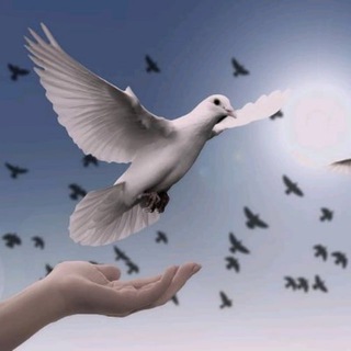 Логотип @humanidaddespiertadifusion - Humanidad Despierta Difusión