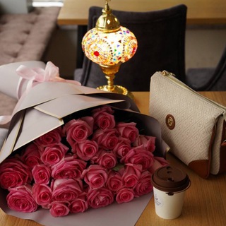 Логотип @humayrafox - ʜᴜᴍᴀʏʀᴀ