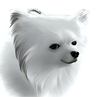 Логотип @humor_for_womens - Поговорим