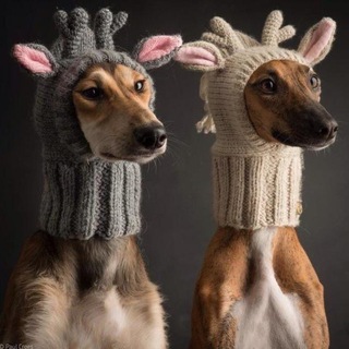 Логотип @humor_humor_2020 - ЧИСТО ПОРЖАТЬ 😂😂😂