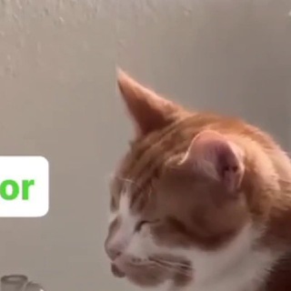 Логотип @humorilike - Тот юмор, что я люблю