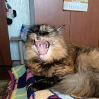 Логотип @humoroks - ЮморОк