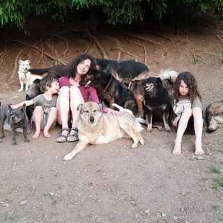 Логотип @hundevermittlungmelaniehoelzle - Hundevermittlung im Hunsrück/Familienprojekt