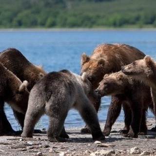 Логотип @huntakam - Мужской Мир (It's a Man's World)