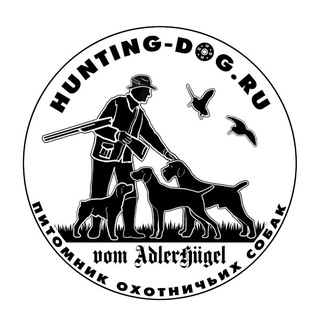 Логотип @hunting_dogru - Hunting-dog.ru — питомник дратхааров и курцхааров