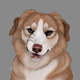 Логотип @hunting_tabbet - Охотничий таббет