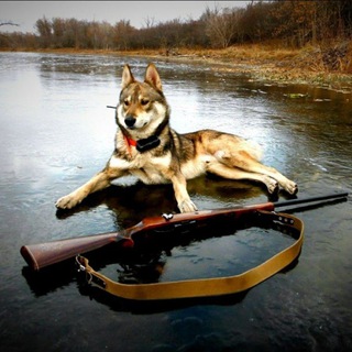 Логотип @huntrusng1 - ОХОТА И РЫБАЛКА (Переходник)