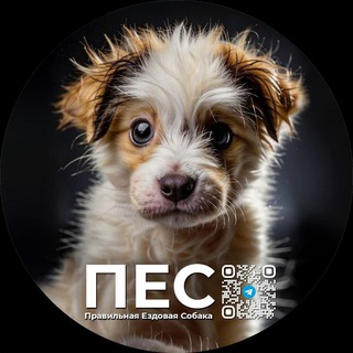 Логотип @huskipolitan - ПЕС | Правильная ездовая собака