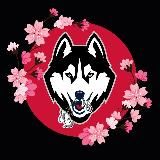 Логотип @huskysmoke - huskysmoke