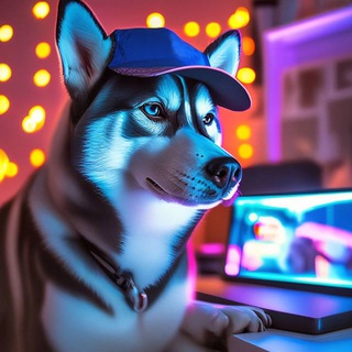 Логотип @huskyvideo - Хаски - чат рулетка ( видеоролики )