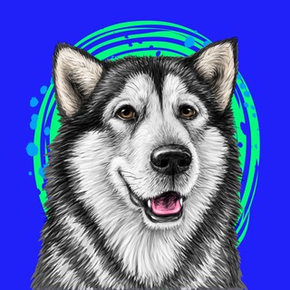 Логотип @husmut_token - HUSMUT 🐺🐺🐺 ХАСМУТ