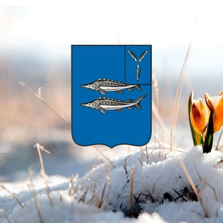 Логотип @hvalynskiy_vestnik - Хвалынский VестникZ🇷🇺