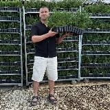 ЙОЛКА 🔴⚪️🌲