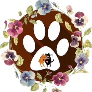 Логотип @hvostatye_sosedi - Хвостатые соседи