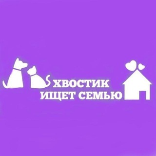 Логотип @hvostikdoma - Хвостик ищет семью
