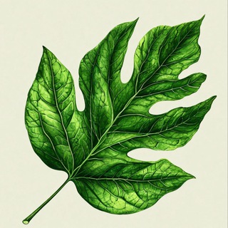 Логотип @hyalthy159 - Healthy