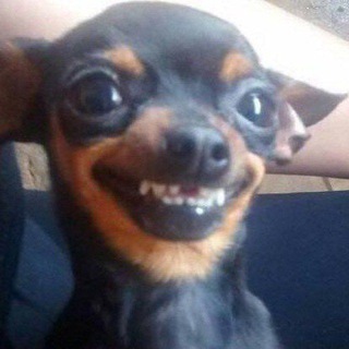 Логотип @hybr1dskye - (заморожены.)ʜʏʙʀɪᴅsᴋʏᴇ. ²⁶