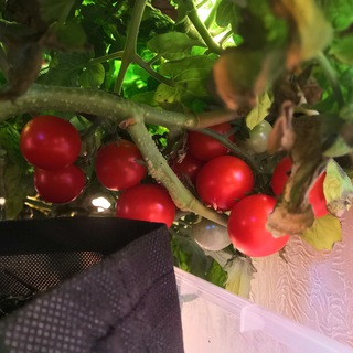 Логотип @hydro_line - HYDRO LINE