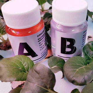 Логотип @hydroponics_a_b - Растворы для гидропоники. Комплексные удобрения и чистые соли.