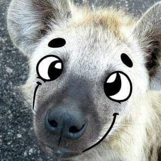Логотип @hyenaden - 💜 The ɐuǝʎH Den 💜