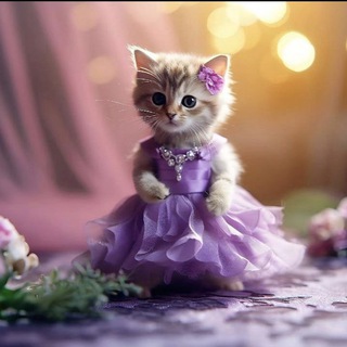 Логотип @hyliganiyo - 🩷Хулиганка говорит | Психология