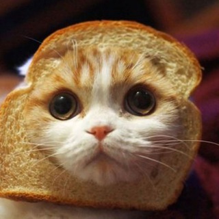 Логотип @hypnic - Лагідна генетизація