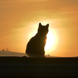 Логотип @hypomen_o_n - В моей голове.