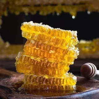 Логотип @hytor23 - ( Crypto Honey )