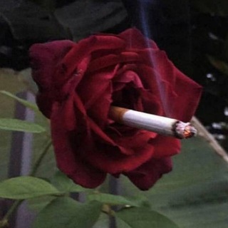 Логотип @i6PMo-YJE7g4YjEy - cursed files🥀