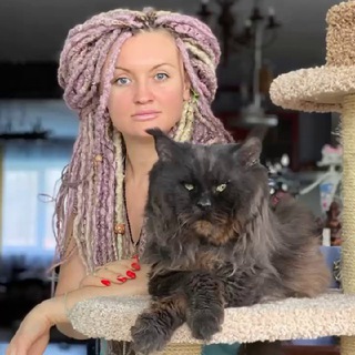 Логотип @i_catsvill_county - Питомник мейн кунов Catsvill County