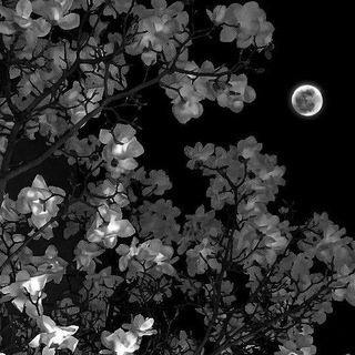 Логотип @i_m_army7 - 19 | 04