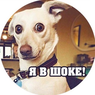 Логотип @i_shok - я В шоке!